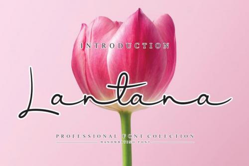 Lantana Script Font