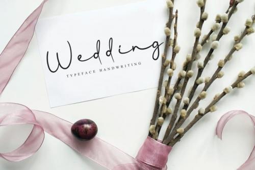 Lantana Script Font 1