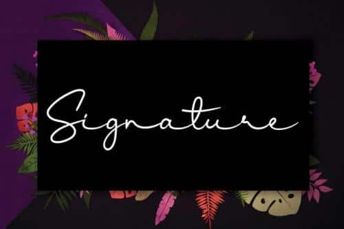 Lantana Script Font 2