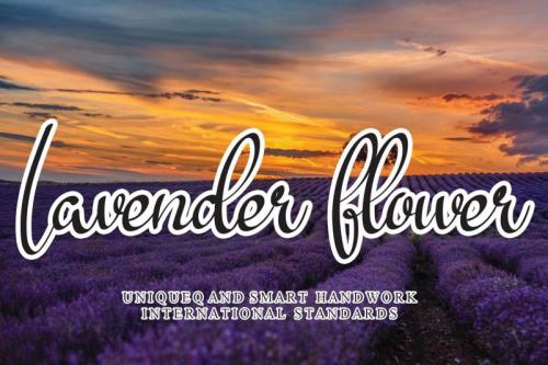 Lavender Flower Script Font