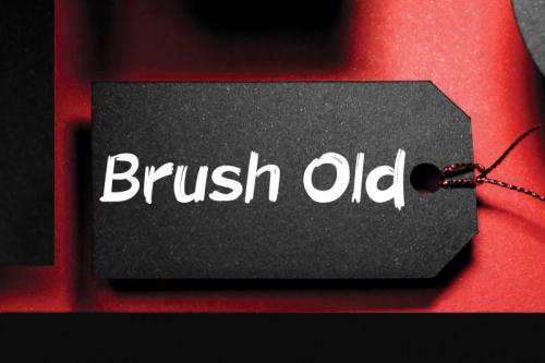 Lilly Flower Brush Font 1