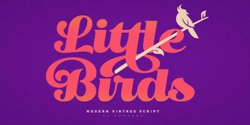 Little Birds Script Font