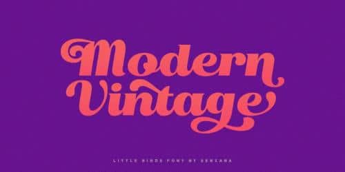 Little Birds Script Font 4