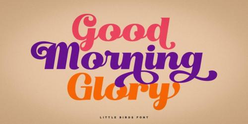 Little Birds Script Font 6