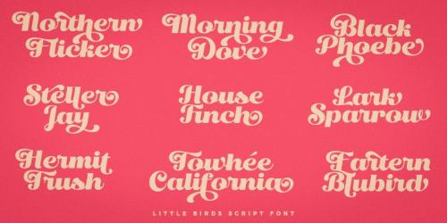 Little Birds Script Font 9