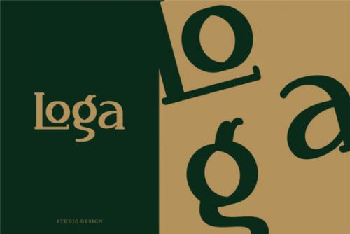 Lokills Serif Font  4