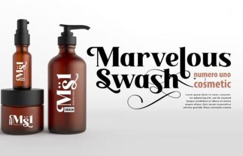 Longline Quartz Serif Font 1