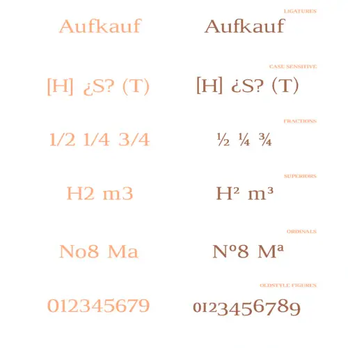 Luthier-Font--09