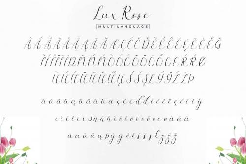 Lux Rose Stylish Script Font 5