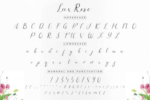 Lux Rose Stylish Script Font 7