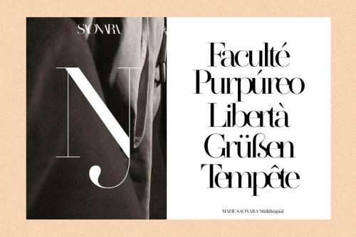 Made Saonara Serif Font  14