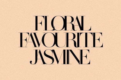 Made Saonara Serif Font  7