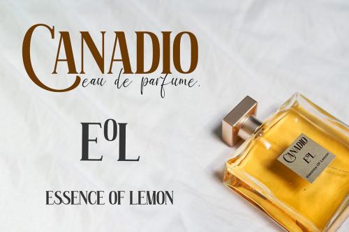 Mick Caster Serif Font 3