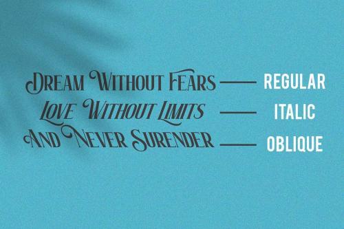 Mick Caster Serif Font 6