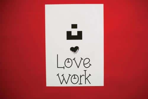 Mimosa Flower Display Font 2