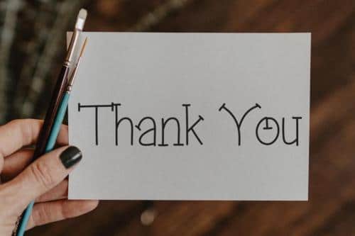 Mimosa Flower Display Font 4