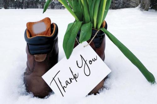 Mimosa Yellow Script Font 4