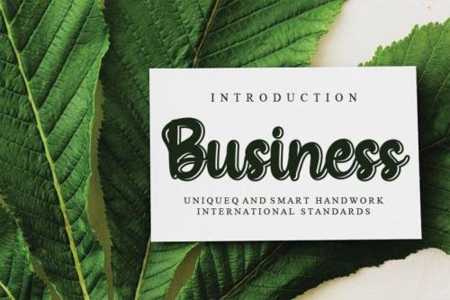 Minnesota Handwritten Font 1