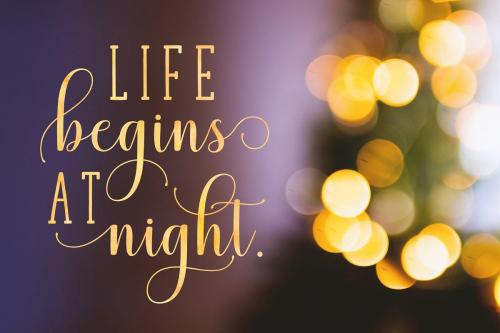 Mistletoe Script Font 2