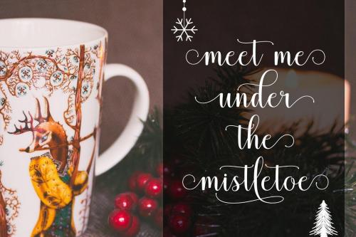 Mistletoe Script Font 4