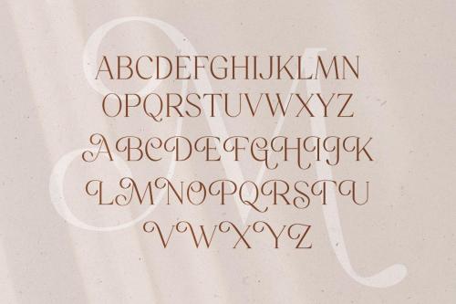 Mitchaella Unique Luxury Serif Typeface 1