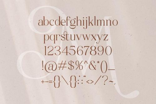 Mitchaella Unique Luxury Serif Typeface 2