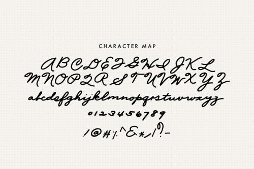 Mix Palmer Script Font 1