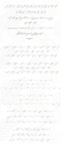 Month Glade Handwritten Font 12
