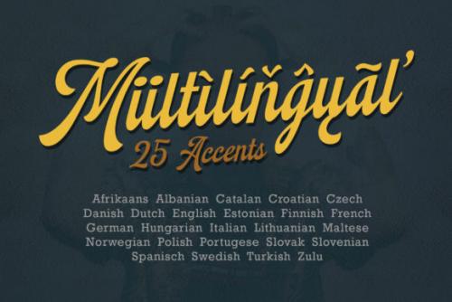Montheim Script Font 9