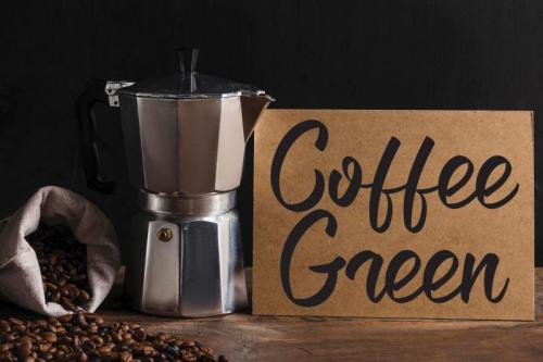 Moon Flower Script Font 3