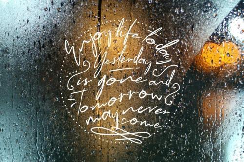 Morning Glow Script Font 11