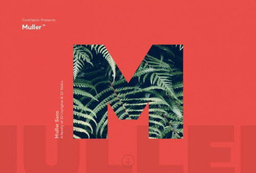 Muller-Font-Free--0