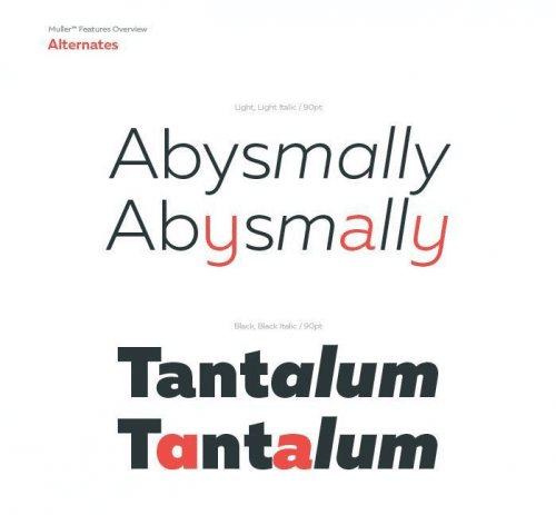 Muller-Font-Free--5