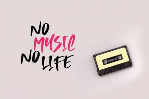 Musician Crush Script Font  1