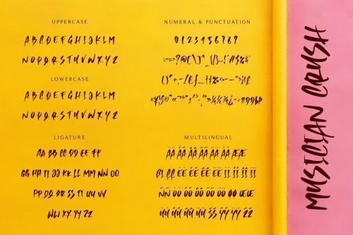 Musician Crush Script Font  11