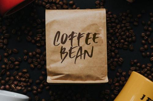 Musician Crush Script Font  9