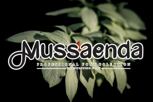 Mussaenda Script Font
