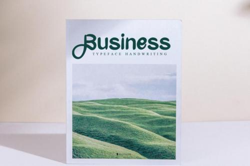 Mussaenda Script Font 2