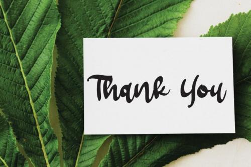 Narcissus Flower Brush Font 4