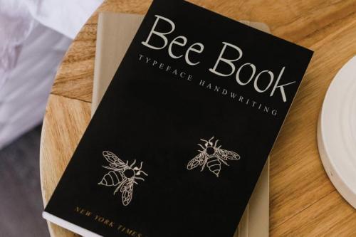 Night Queen Handwritten Font 3