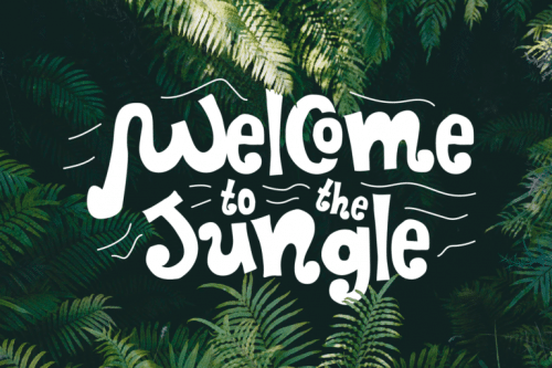 Nimora Display Font 3