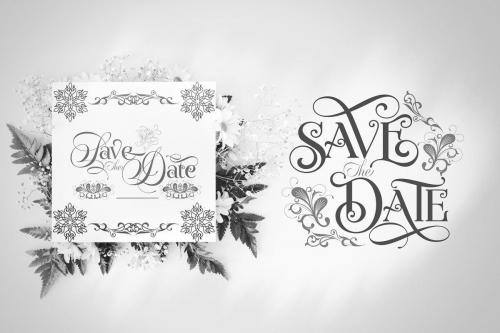 Novelia Pro Typeface  17