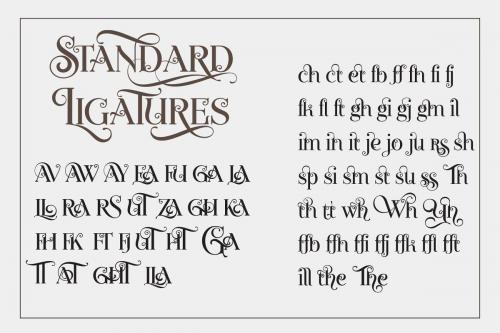 Novelia Pro Typeface  20