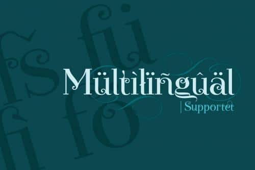 Novelia Pro Typeface  4