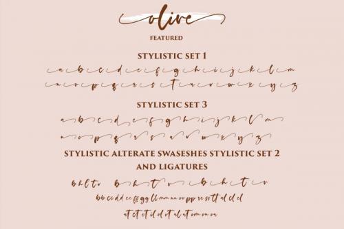 Olive Script Font 14