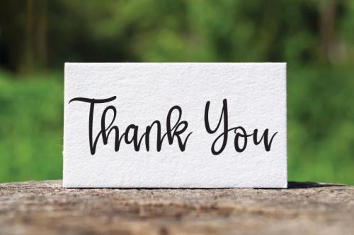 Peony Flower Script Font 4