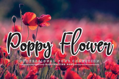 Poppy Flower Script Font