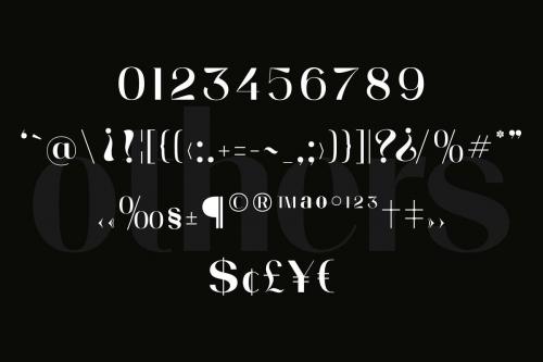 Prague Sans Serif Font 13