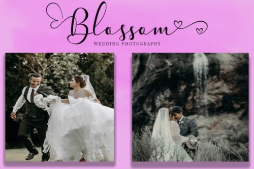 Pretty Willie Calligraphy Font  2