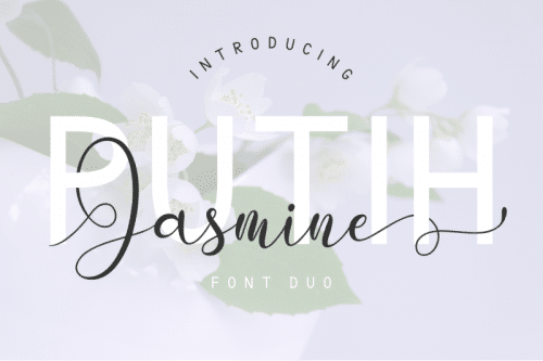 Putih Jasmine Font Duo